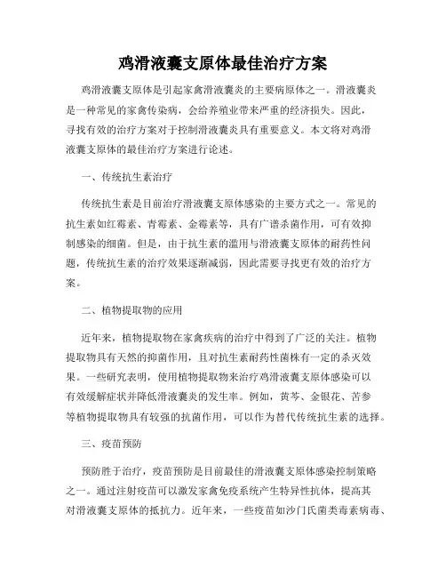 鸡滑液囊支原体最佳治疗方案