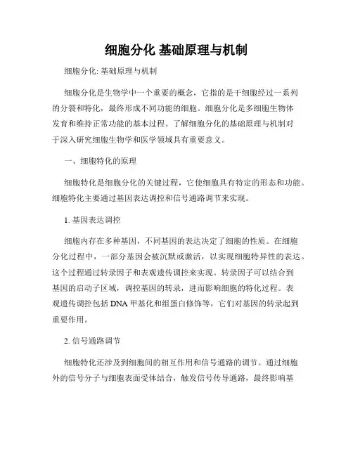 细胞分化 基础原理与机制