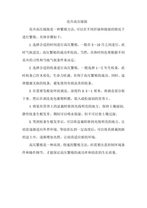 花卉高压嫁接