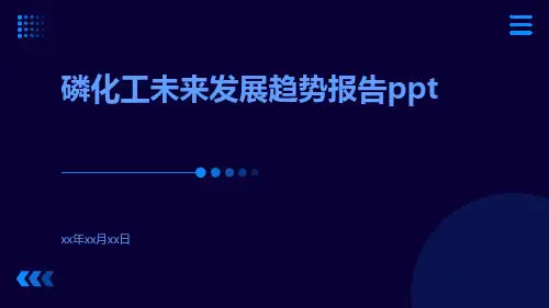 磷化工未来发展趋势报告PPT