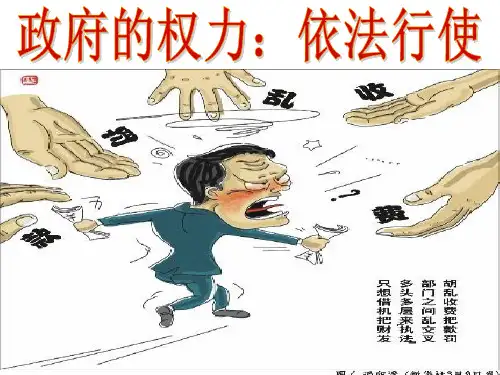 政府的权力依法行使上PPT课件