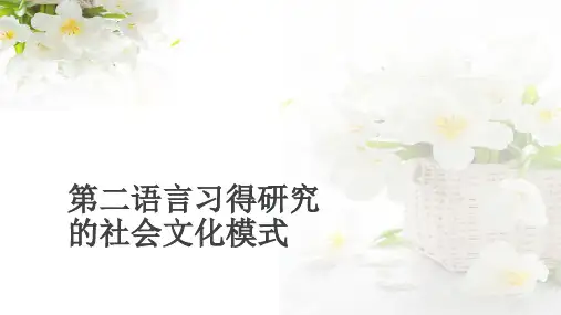 第二语言习得研究的社会文化模式