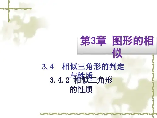 初中九年级数学   相似三角形的性质