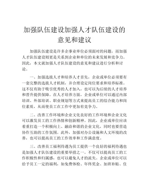 加强队伍建设加强人才队伍建设的意见和建议