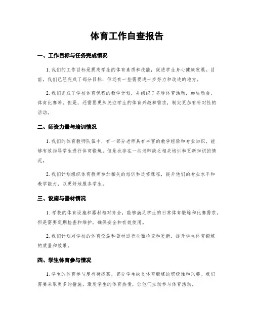 体育工作自查报告