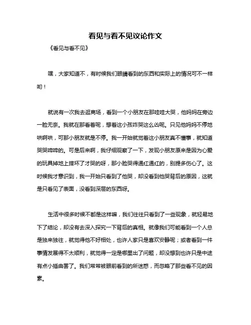 看见与看不见议论作文