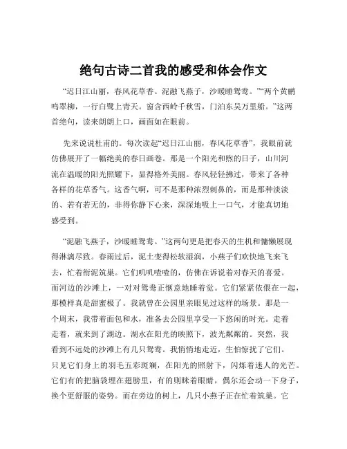 绝句古诗二首我的感受和体会作文