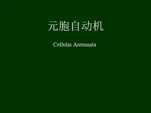 元胞自动机