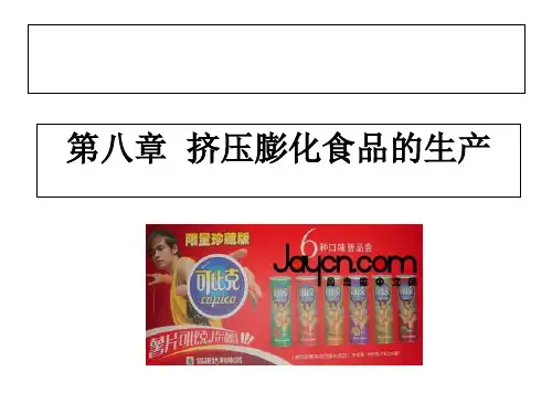 食品粮油加工挤压膨化食品的生产PPT课件讲义