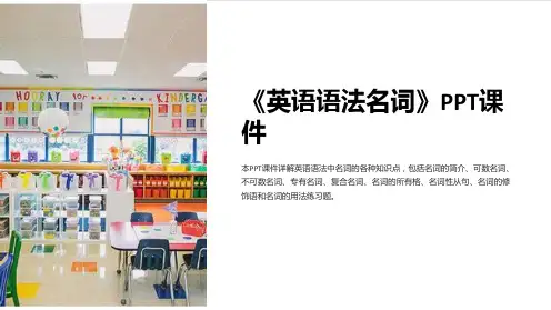 《英语语法名词》课件