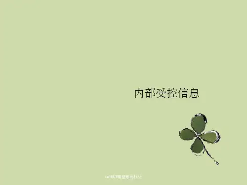 LAYOUT精益布局优化