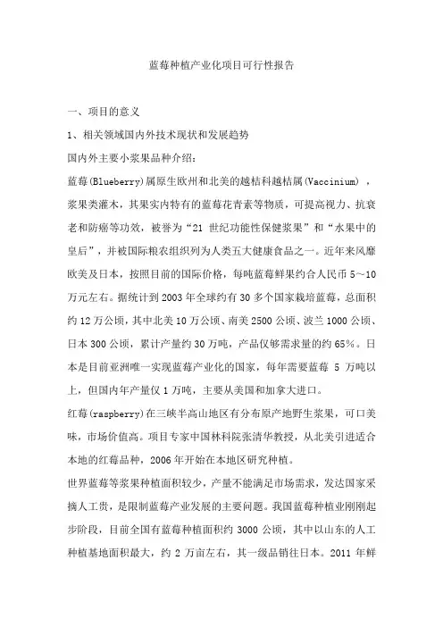 蓝莓种植产业化项目策划建议书