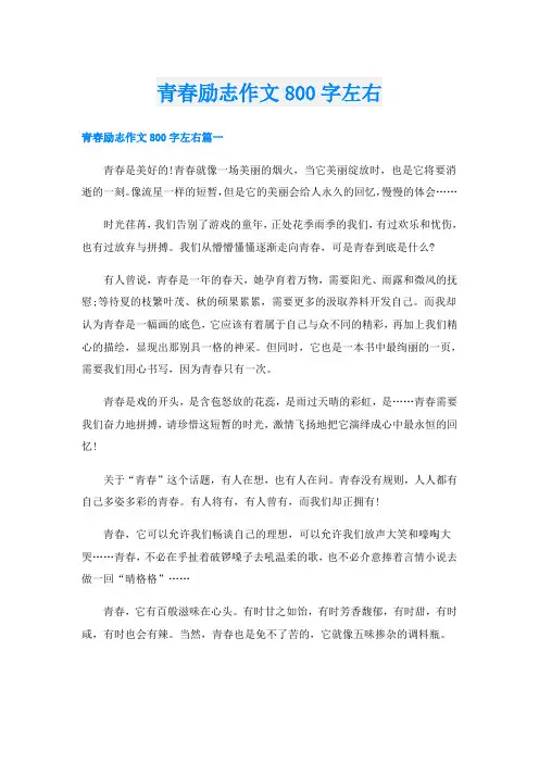 青春励志作文800字左右
