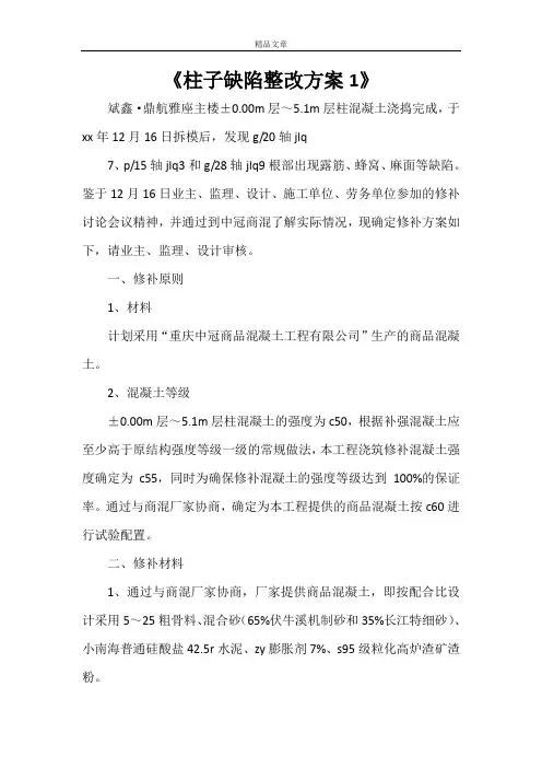 《柱子缺陷整改方案1》