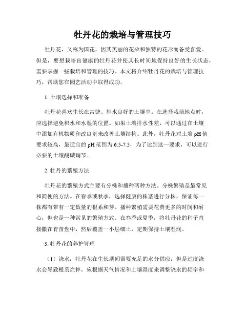 牡丹花的栽培与管理技巧
