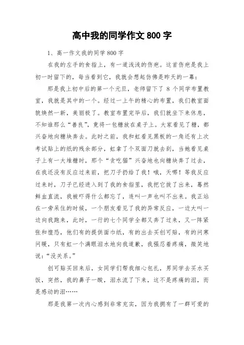 高中我的同学作文800字_作文