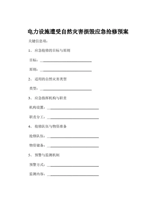 电力设施遭受自然灾害损毁应急抢修预案