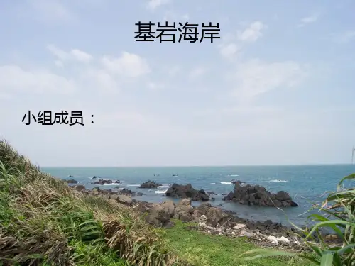 基岩海岸---最终版PPT课件