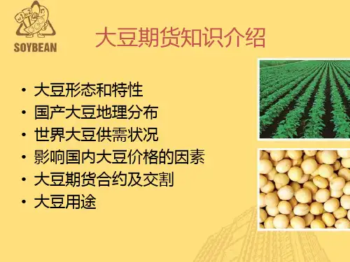 大豆期货知识介绍共54页