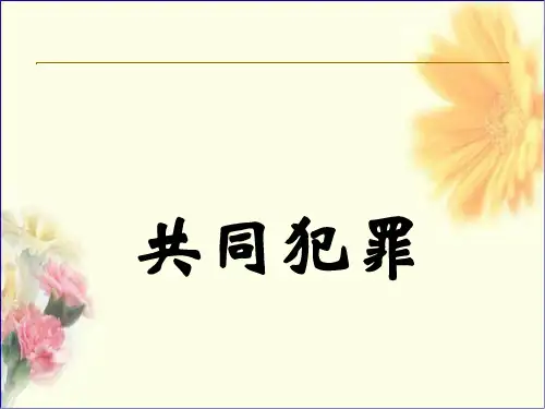 刑法课件 共同犯罪