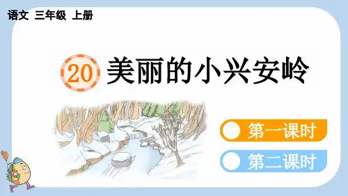 统编版语文三年级上册-20 美丽的小兴安岭-教学课件(多篇)