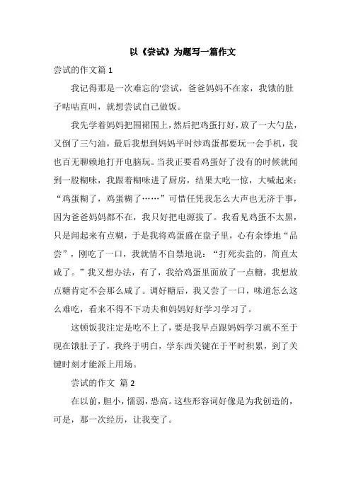 以《尝试》为题写一篇作文
