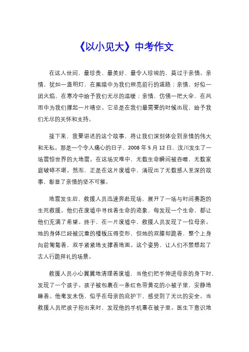 《以小见大》中考作文
