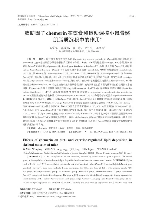 脂肪因子chemerin在饮食和运动调控小鼠骨骼肌脂质沉积中的作用