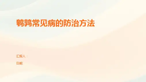 鹌鹑常见病的防治方法