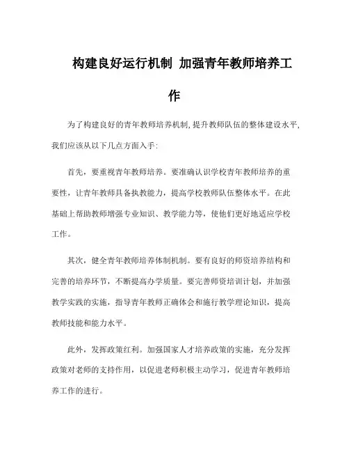 构建良好运行机制 加强青年教师培养工作