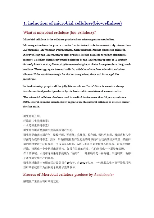 最新的生物纤维面膜中英文资料000