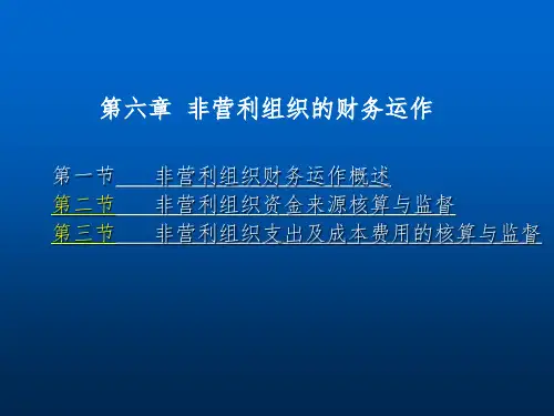 《非营利财务运作》PPT课件