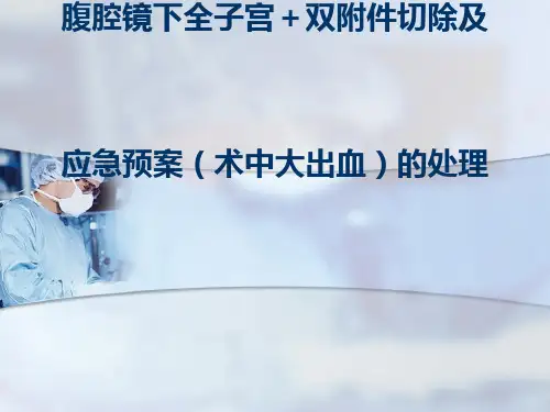 腹腔镜下全子宫 双附件切除及