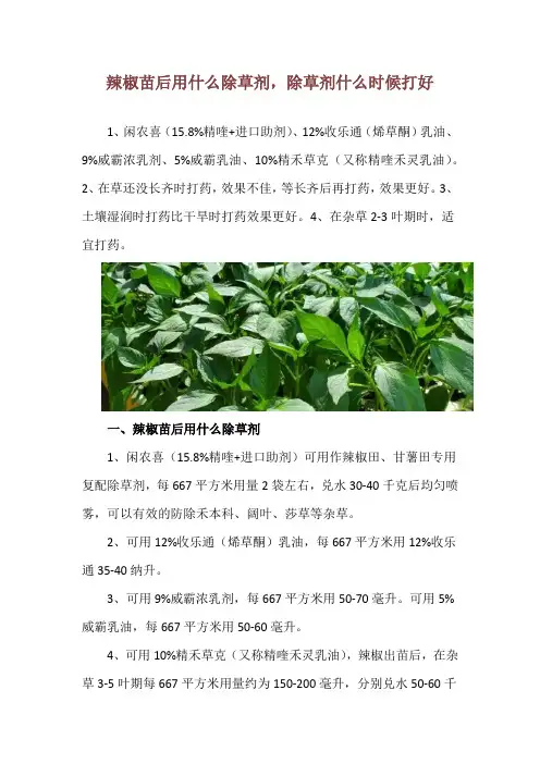 辣椒苗后用什么除草剂,除草剂什么时候打好