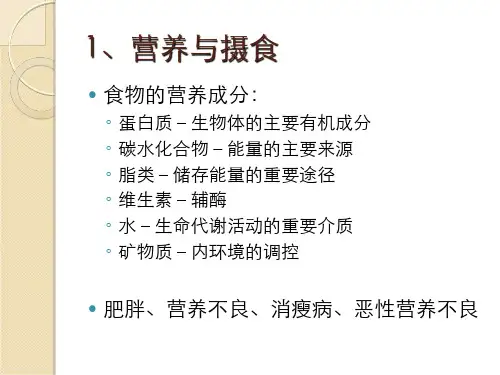 消化和排泄PPT课件