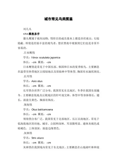 城市常见鸟类图鉴