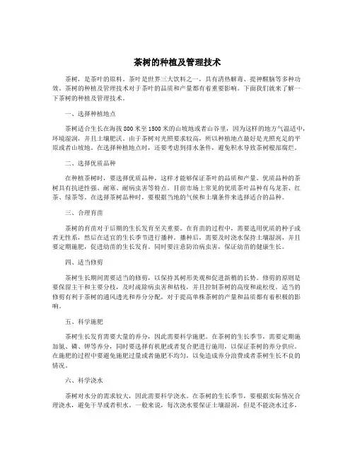 茶树的种植及管理技术