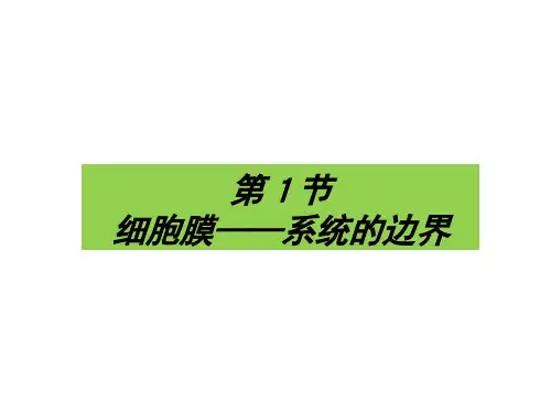 人教版高一生物必修一细胞膜40张课件