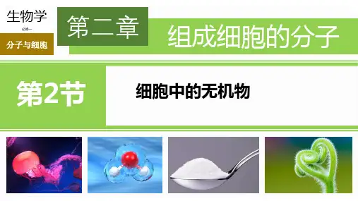 2.2 细胞中的无机物
