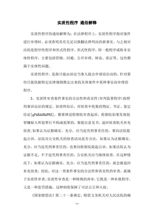 实质性程序 通俗解释