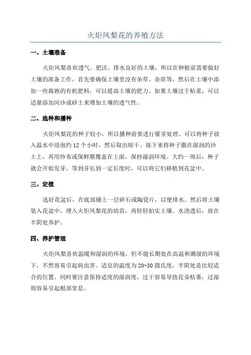 火炬凤梨花的养殖方法