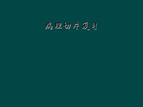 病理切片复习
