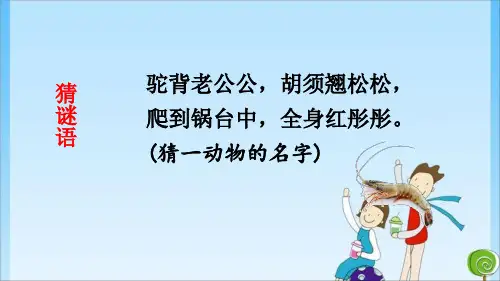 15 小虾 人教 (共20张PPT)教育课件