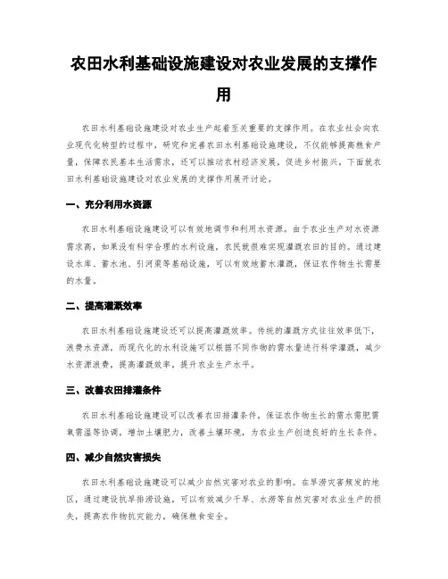 农田水利基础设施建设对农业发展的支撑作用