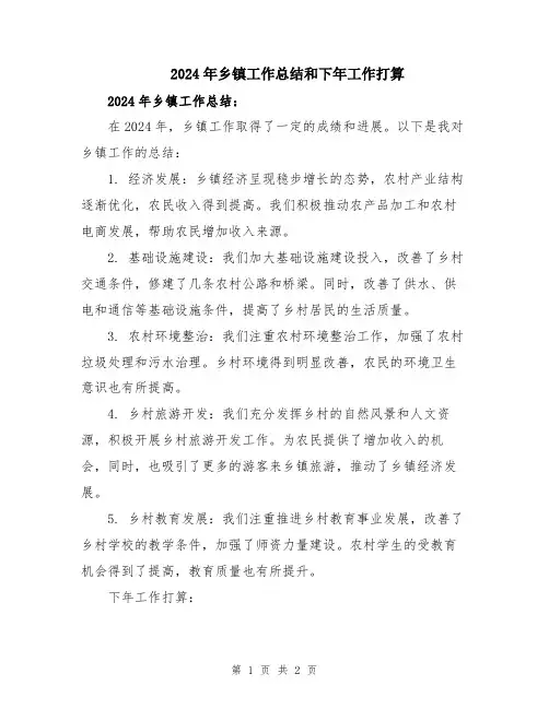2024年乡镇工作总结和下年工作打算