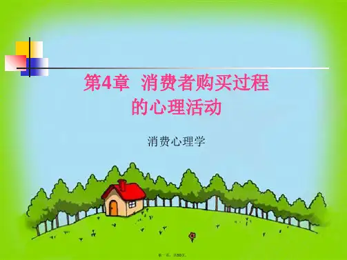 消费心理学---第4章--消费者购买过程的心理活动