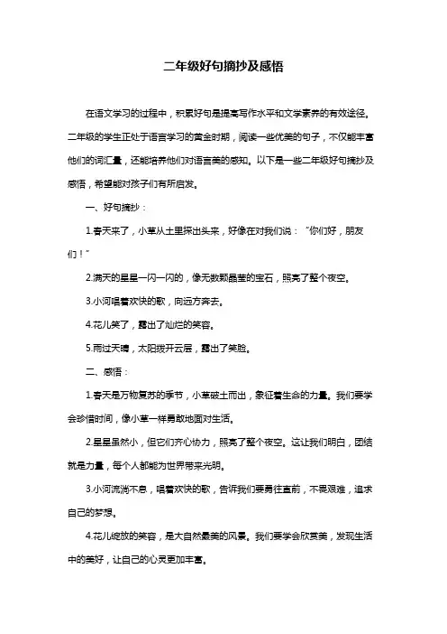 二年级好句摘抄及感悟