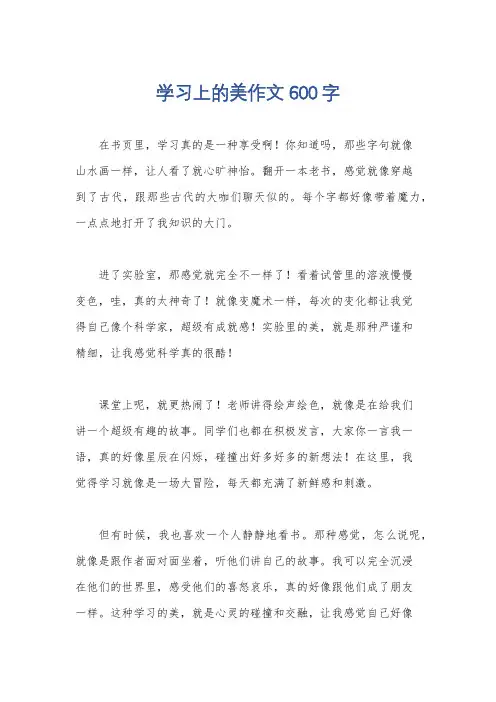 学习上的美作文600字