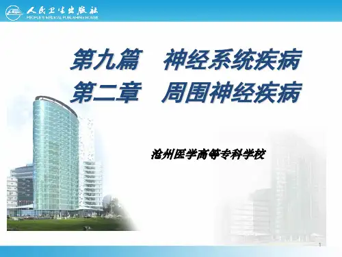 周围神经疾病PPT课件