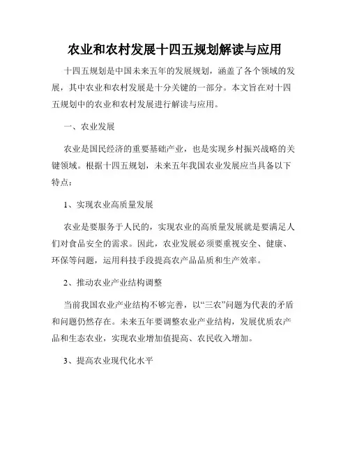 农业和农村发展十四五规划解读与应用